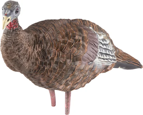 AVIAN X LCD BREEDER HEN DECOY - Image 4