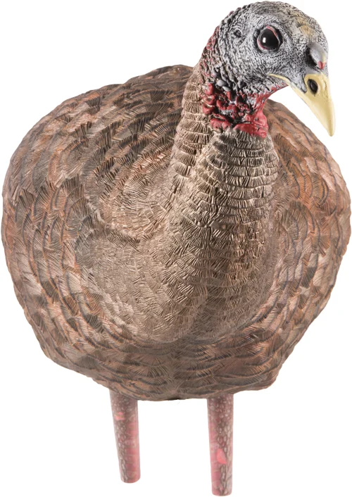 AVIAN X LCD BREEDER HEN DECOY - Image 3