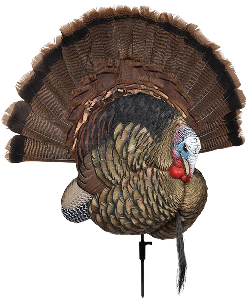 AVIAN X TROPHY TOM DECOY - Image 3