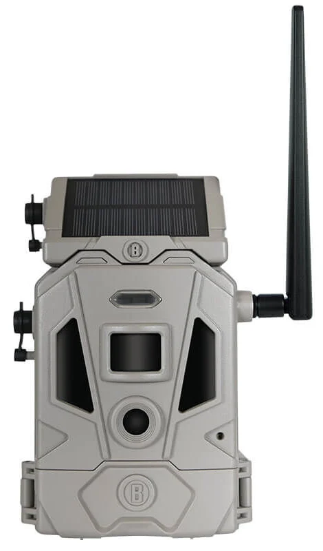 BUS CELLUCORE 20 SOLAR DUAL SIM TAN