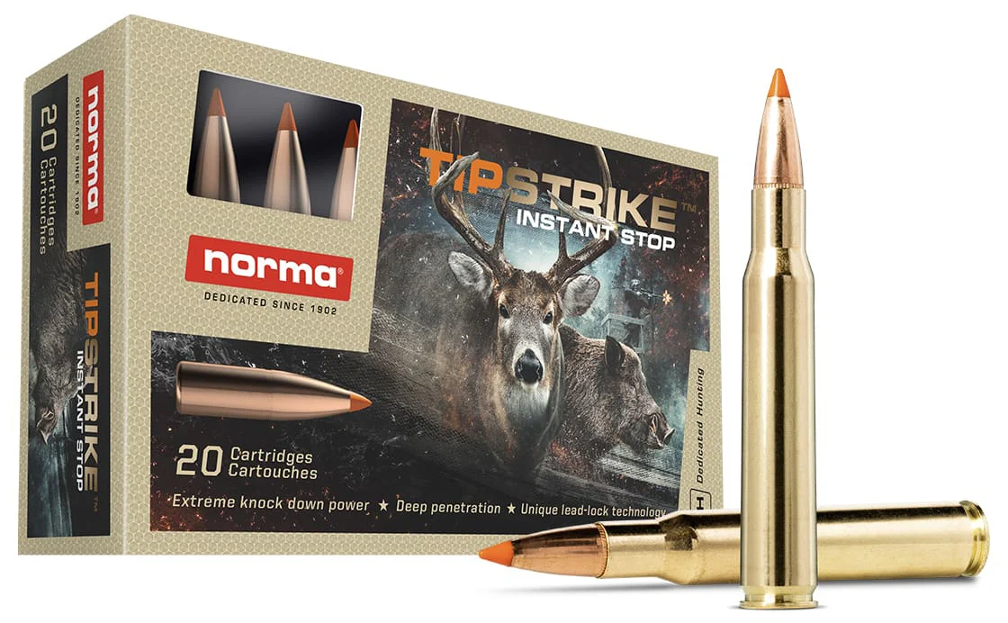 NORMA TIPSTRIKE 204RUG 40GR V-MAX 20/10