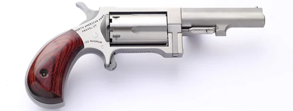 NORTH AMERICAN ARMS SIDEWINDER 22MAG 2.5" SS