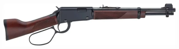 HENRY MARE'S LEG 22WMR 12.9" BL PSTL